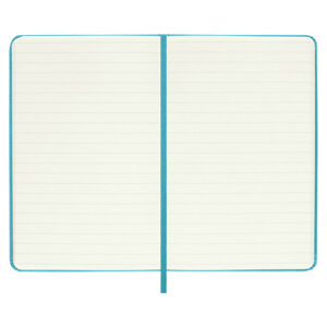 Moleskine Classic Notebook – Blue Hard Cover